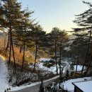 별들의 | 인제여행 숙소 강력 추천 별들의기침 내돈내산 후기(room3, 개별바베큐장, 조식, OTT, 고양이😻)