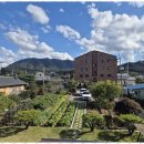 땅부자공인중개사사무소 | 설악면공인중개사 설악IC 가까운 가평홍천땅N공인중개사 후기