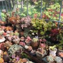 카페그곳 이미지