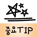 포유플라워케이크 네이버블로그