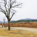 선덕여왕릉 화장실 이미지