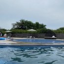 탐모라 수영장 이미지