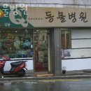 큐동물병원 | 성북구 장위동 동물병원 큐동물병원 진료시간 접근성 이용후기