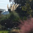 모퉁이돌집 민박 | JEJUVIE/ 제주비/ 독채민박/ 제주 삶-jejuVie