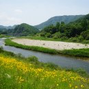 상전면행정복지센터 이미지