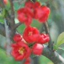 명자농장 이미지