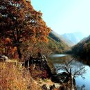[27편] 경북 청송군 국립공원 주산지와 주왕산의 여름과 가을! 이미지
