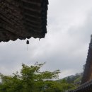 오후의 숲 이미지