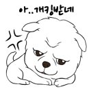 서종우헤어 이미지
