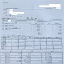 금쪽금쪽금쪽반려동물병원 | [ KB손해보험 금쪽같은펫보험 ] 반려묘 상해 및 귀진드기 치료