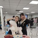 잇츠그루밍애견미용학원