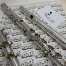 플룻 (B)? 이미지