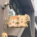 까꼬노라 | 울산 남구 반려견 애견 미용실 까꼬노라 미용후 놀이방최고