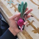 두메(DUME) 이미지