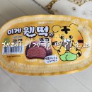 해태 초코찰떡아이스크림 이게 웬 떡 후기 및 소심한 호랭이코코 러그