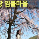 수 당구마을 이미지