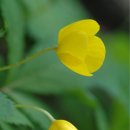 자연사랑펜션 이미지