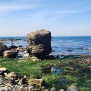 호미반도해안둘레길 이미지