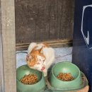 달우물농장 | 어딘가의 저편에 잊혀진 기억에