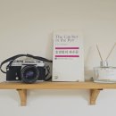 별 한말 이미지