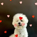 아이멍그라운드 이미지