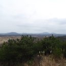 달리오름 이미지