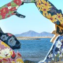 석양을 품은 물고기 이미지