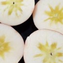 동원환경(1농장) 이미지