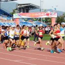 거창-주상-5 이미지