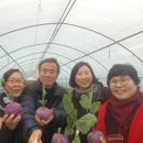 품속농장 이미지