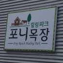 미원목장 이미지