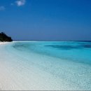 바다에 누워 이미지