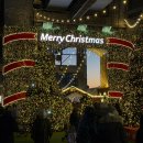 스낵마켓 | 아이와 뚝섬 크리스마스 마켓 방문 후기｜위치·시간·포토존 총정리