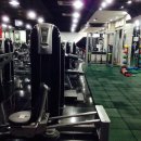 바이칼휘트니스 이미지