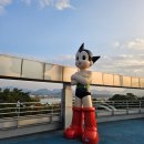 갤러리툰카페 이미지