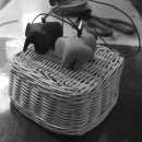 남문초교 이미지