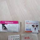 연곡종로약국 이미지