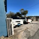 일광식당 | 일광짬뽕 일광짜장면 다잘하는 기장중식당 나도짱깨 후기