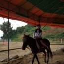 성환삼육영어지역아동센터 이미지