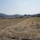 서만1리 경로당 이미지