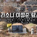 시라소니 이성순 묘소 이미지