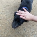 홍예민박 이미지