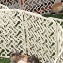 역전게임장 이미지