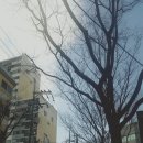 순아네집 네이버블로그