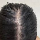 제일머리 | 머리 기름 샴푸 인생템 등극 + 후기