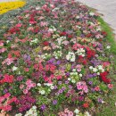 모현이편한세상아파트 이미지