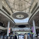 빵빵한토스트컵밥 | [국립과천과학관][자연사관,미래상상SF관]아기 유모차 대여, 푸드코트 이용후기[지하철로 다녀온 후기]