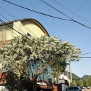 사림동291 이미지