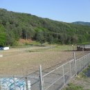 하천리-1 이미지