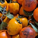 서산기쁨농장 이미지